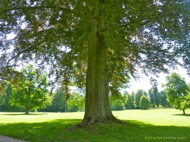 Tiefurter Park bei Weimar - im blog von Bettina Langer- psychologische Beratung in Trier